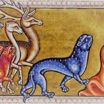 Panther image from the Aberdeen Bestiary