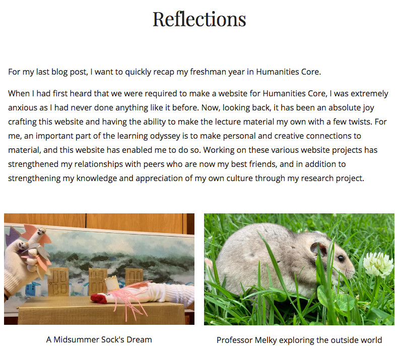 Image of a student's website reflection