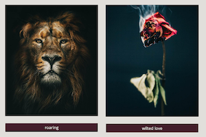 Image detail from student website featuring illustrations of a lion and a wilted rose