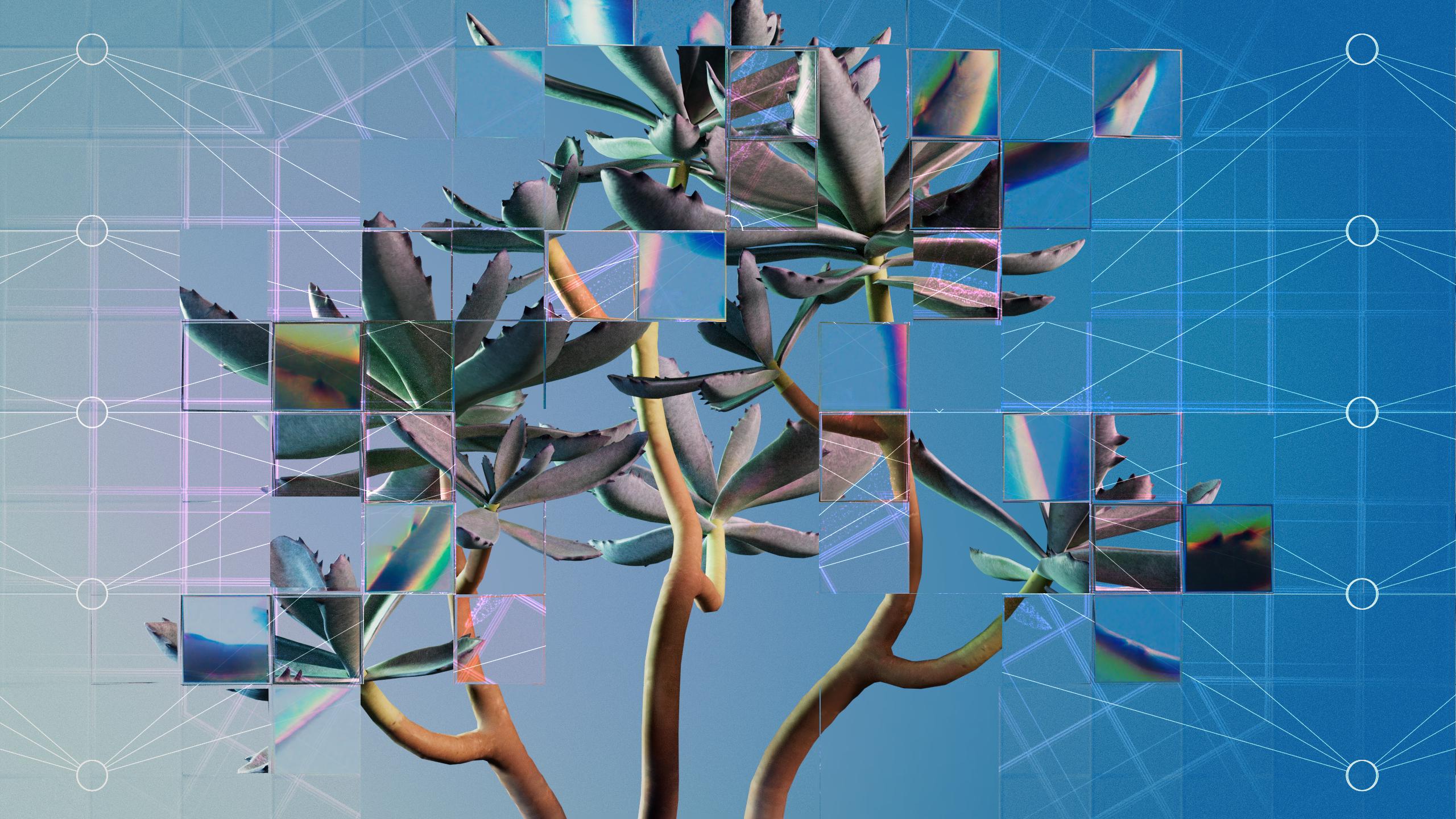 Succulent plant seen through a refractive glass grid, overlaid white nodal network, blue gradient background
